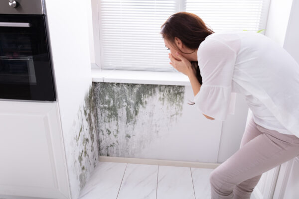 Tips for Spotting and Avoiding Damp in Your own Home