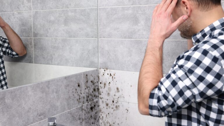 New Home Guide: We Have all heard of a Damp Proof Course Yet Do people Really Realize What a Damp Proof Course (DPC) is