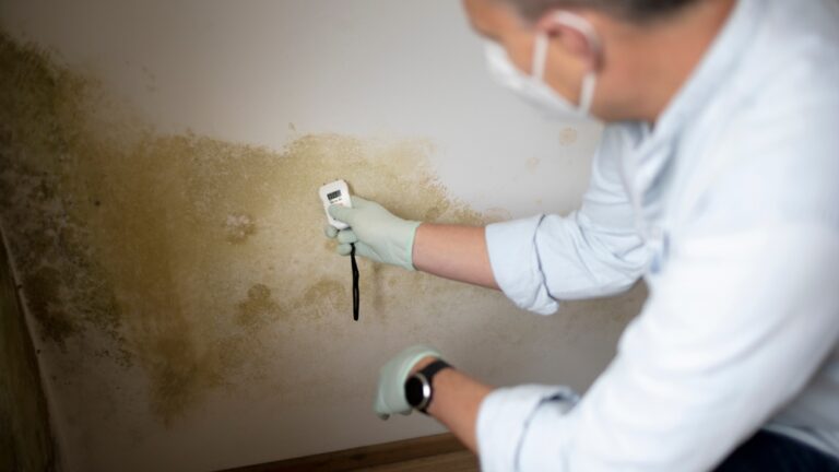 East Cheshire Property Maintenence Help: Reasons, Prevention, and the particular Need for Taking Motion When Finding Damp and Condensation in your Home