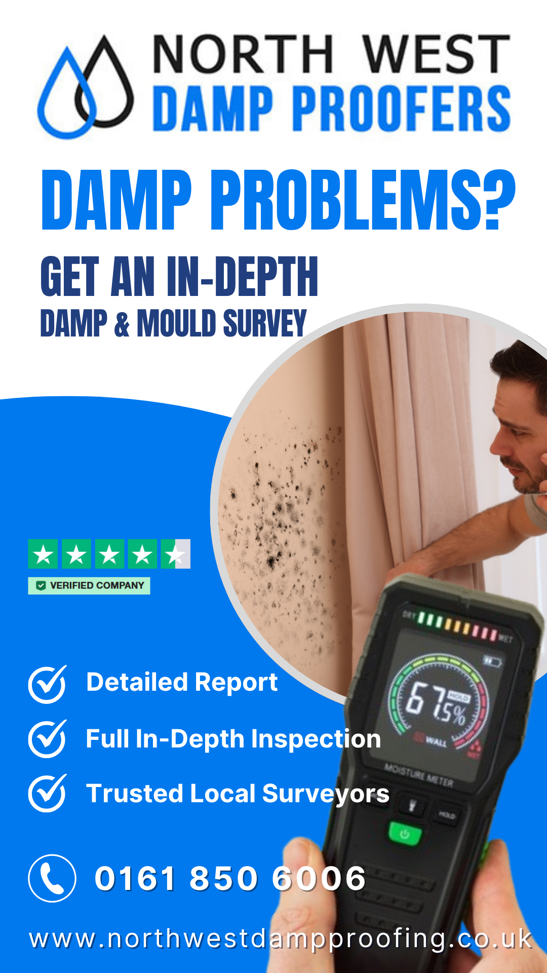 book a damp survey